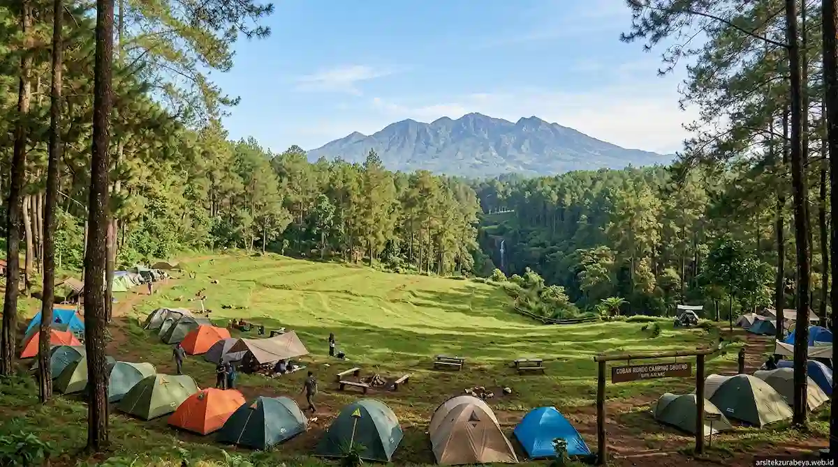 Rekomendasi 7 Lokasi Outbound Terbaik dan Terfavorit di Batu Malang 2026